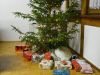 Reichlich Geschenke unter dem Weihnachtsbaum